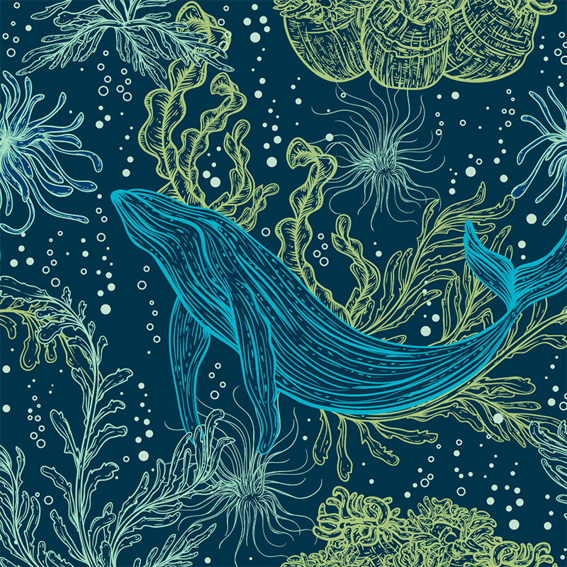 20oz-tkwide-with-twist-cap-ocean-day-b8 20oz_tkwide_bottle_seasonal_ocean_day_blue_whale_artwork_square.png