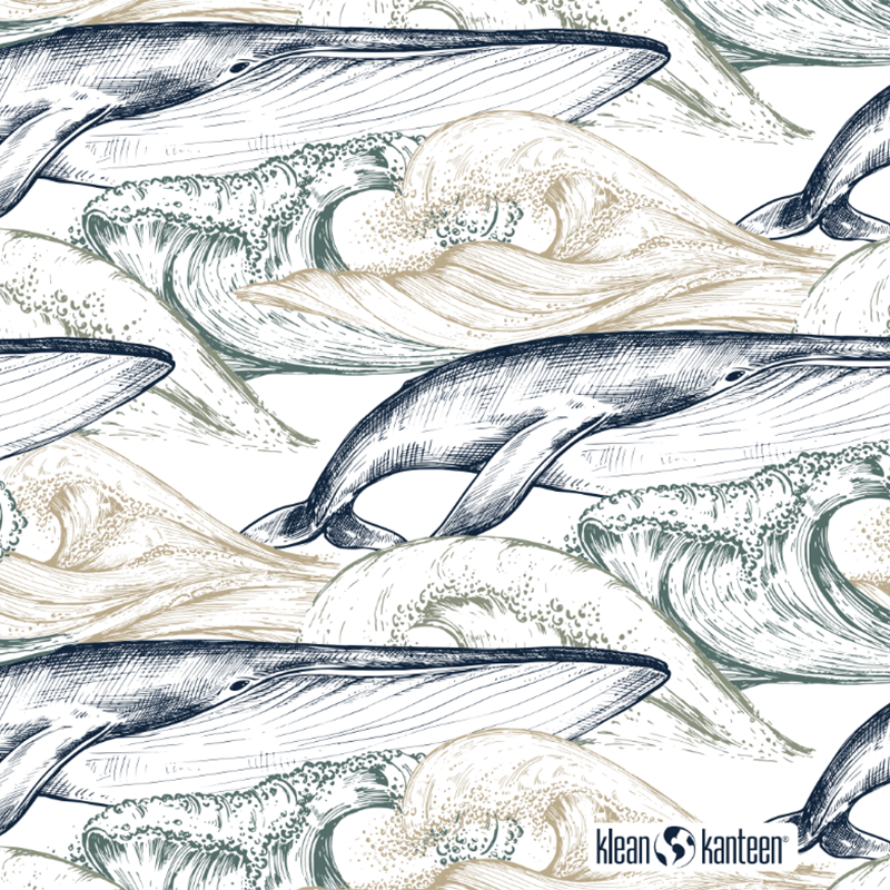 20oz-tkwide-with-twist-cap-ocean-day-b8 20oz_tkwide_bottle_seasonal_ocean_day_whale_artwork_square.png