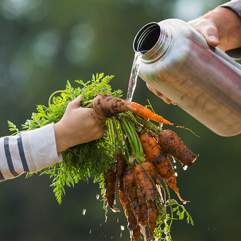 64oz-wide-with-loop-cap-e4 64oz_wide_mouth_bottle_carrots_rinse_square.jpg
