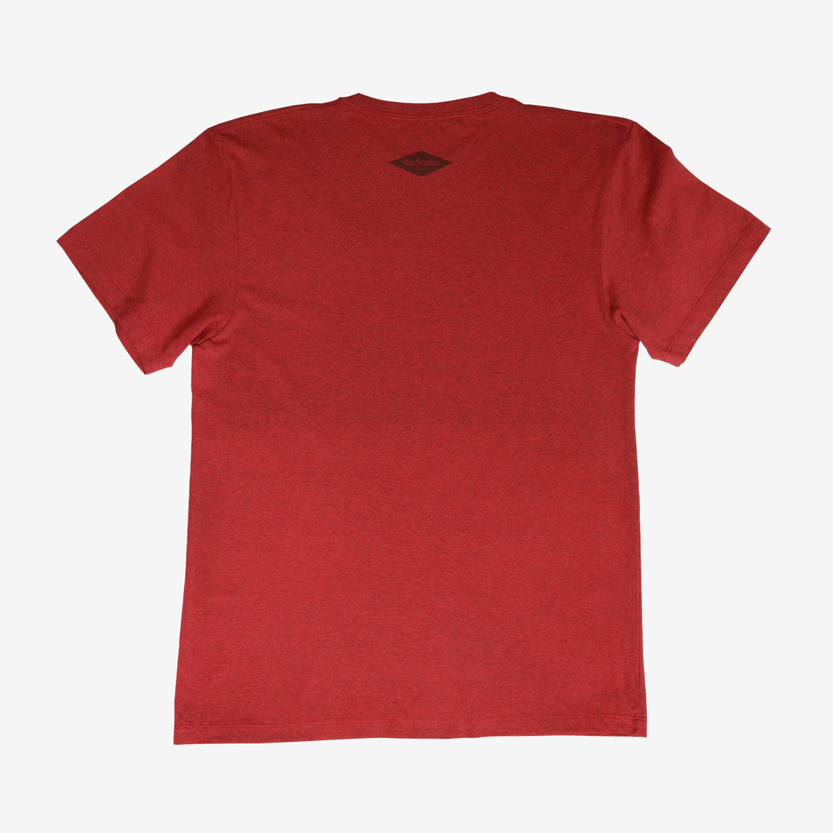 backyard-t-shirt-l7 Shirt_Mtn_Back.jpg
